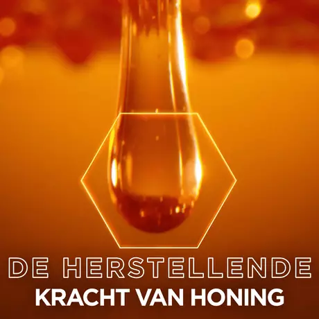 Garnier Loving Blends Honing Goud Herstellend Haarserum 115 ML