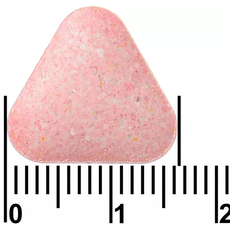 Compleet Weerstand Vitamine C & D3 Bosvruchten Kauwtabletten 60 stuks