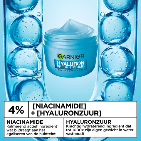 Garnier Hyaluron Fesh & Plump Hydraterende Sorbet Creme 85 ML