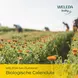WELEDA Baby Calendula Liniment Reinigingsmelk 400 ML
