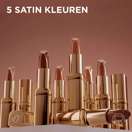 L'Oréal Paris Color Riche Satin 540 Unstoppable Nudes of Worth Lippenstift