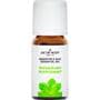 Jacob Hooy Essentiële Olie Pepermunt 10 ML