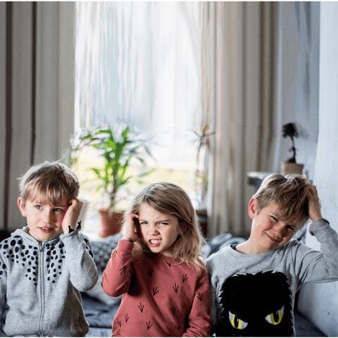 Licener Anti-Luis shampoo 100 ML natuurlijke ingrediënten  100% effectief