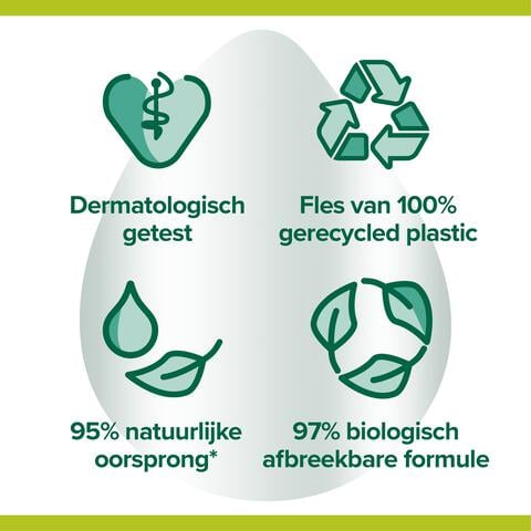 Palmolive Hygiëne Plus Family Antibacteriële Vloeibare Handzeep 300 ML