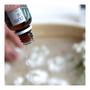 Australian Bodycare Tea Tree Oil Pure Oil 30 ML