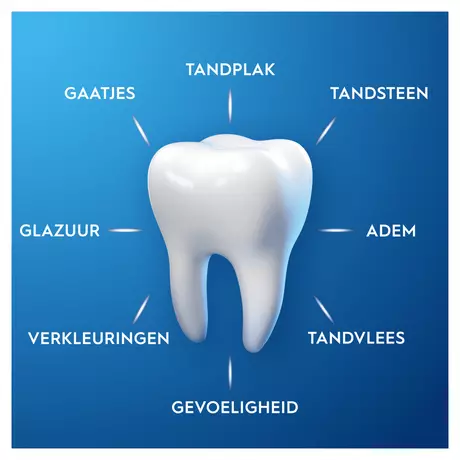 Oral-B Pro-Expert Zachte Whitening Tandpasta 75 ML
