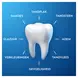 Oral-B Pro-Expert Zachte Whitening Tandpasta 75 ML