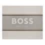 Hugo Boss Bottled Giftset 350 ML