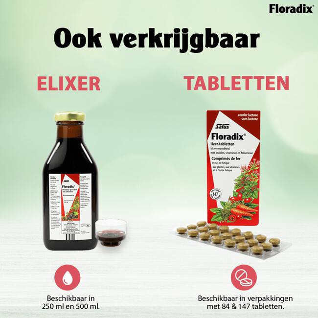 Diplomatieke kwesties afschaffen geluk Salus Floradix IJzer Tabletten 84 EA | Etos