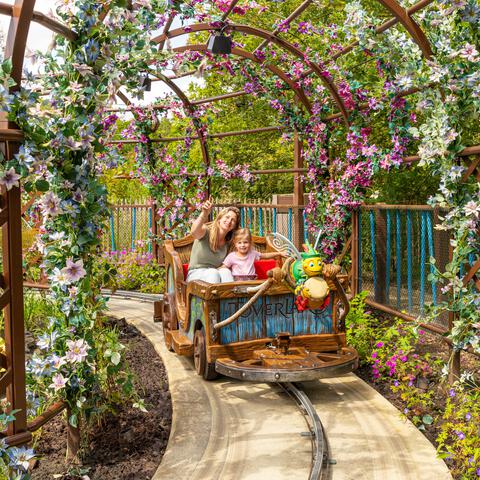 Entreeticket Toverland Volwassenen v.a. 140 cm