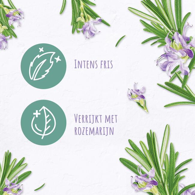 Andrélon Pro Nature Rosemary Refresh Shampoo 400 ML