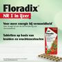 Salus Floradix IJzer Tabletten