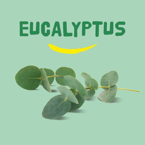 Happy Earth Pure Shower Gel Eucalyptus 300 Ml