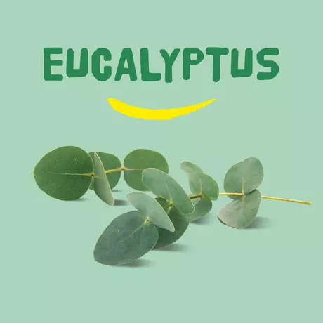 Happy Earth Pure Shower Gel Eucalyptus 300 Ml