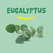Happy Earth Pure Shower Gel Eucalyptus 300 Ml