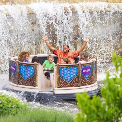 Entreeticket Toverland Volwassenen v.a. 140 cm