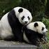Entreeticket Ouwehands Dierenpark