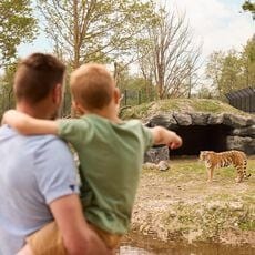 Entreeticket ZooParc Overloon vanaf 3 jaar