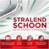 Dreft Vaatwas Platinum Plus Citroen 30 Stuks