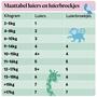 Etos Luierbroekjes Maxi Maat 4 9-15 kg Mid Pack 24 stuks