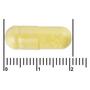 Etos Premium Immuun Complex 60 stuks