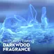 NIVEA MEN Deep Darkwood Deodorant Spray 150 ML