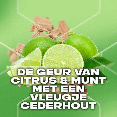 AXE Green Mojito & Cedarwood 3-in-1 Douchegel 250 ML