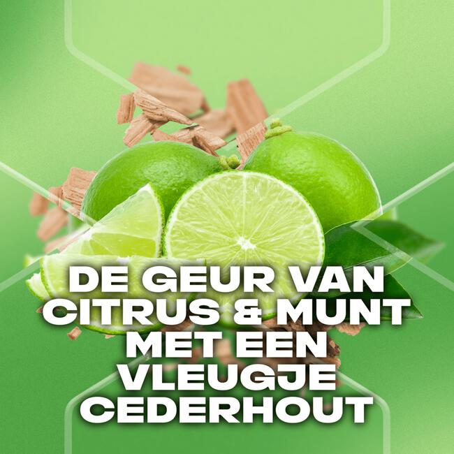 Axe Green Mojito & Cedarwood 3-in-1 Douchegel 250 ml