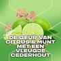Axe Green Mojito & Cedarwood 3-in-1 Douchegel 250 ml