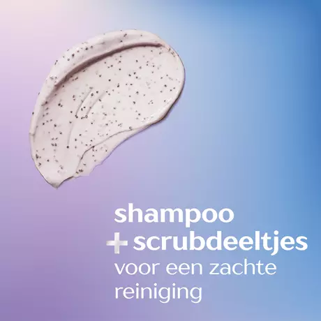 Andrélon Scalp Care Shampoo Scrub 200 ML