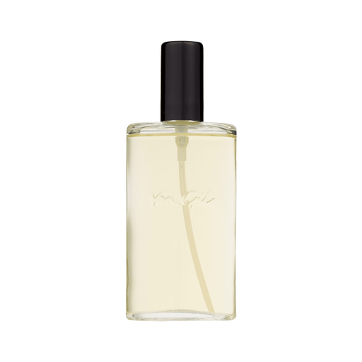 Van Gils Strictly For Men Aftershave Refill 100 ML