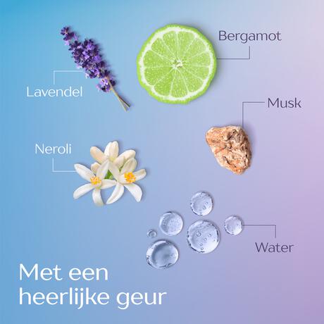 Andrélon Anti-Roos Shampoo 250 ML