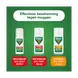 Jungle Formula Anti Muggenroller Maximum 50% DEET 50 ML