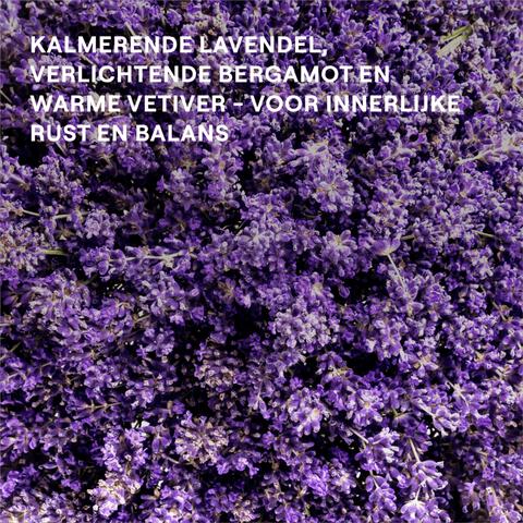 Weleda Relax Lavendel Douchecreme 400 ML