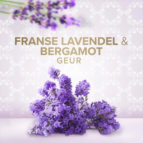 Palmolive Sensorial Escape Lavender & Bergamot Handzeep - 300 ML