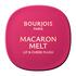 Bourjois Macaron Melt Lip & Cheek Flush 004 Pink Guava
