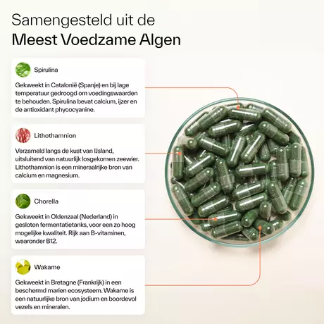 Plnktn Plankton Capsules 60 stuks
