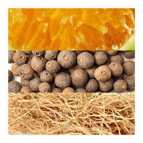 Davidoff Adventure eau de toilette 100 ML