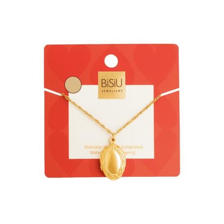 BiSjU Jewellery Valentijn Ketting Medaillon hart