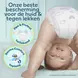 Pampers Premium Protection Voordeelbox Luiers Maat 3 6-10 kg 148 stuks