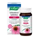 A.Vogel Echinaforce Sterk** Energie2*  Tabletten 30 stuks