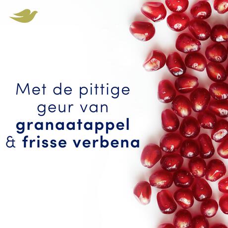 Dove Go Fresh Pomegranate Anti-Transpirant Deodorant Spray 150 ML
