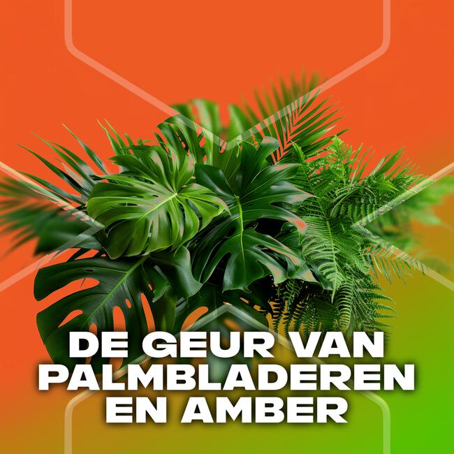 AXE Jungle Fresh 3-in-1 Douchegel 250 ml
