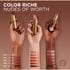 L'Oreal Paris Color Riche Satin - Nudes of Worth 570
