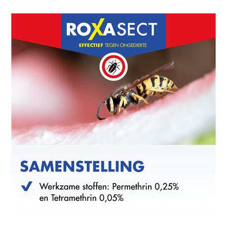 Roxasect Spuitbus Kruipende Insecten en Wespen 400 ML
