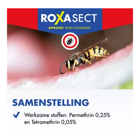 Roxasect Spuitbus Tegen Kruipende Insecten en Wespen 400 ML