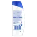 Head & Shoulders Apple Fresh Anti-Roos Shampoo 250 ML