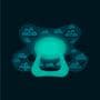 Difrax Fopspeen Natural 6+ M Glow In The Dark