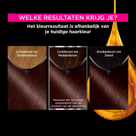 Garnier Olia Permanente Haarverf 4.15 IJs-Kastanjebruin