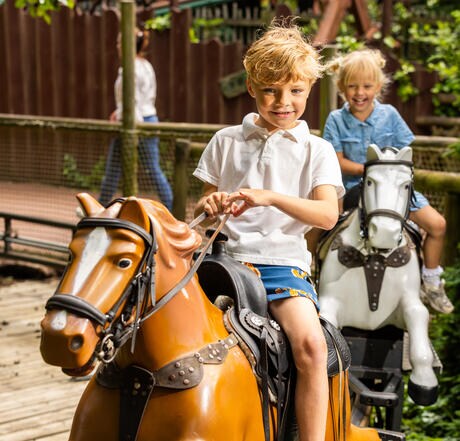 Entreetickets Familiepark Drievliet